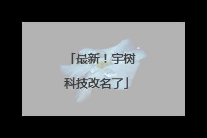 最新！宇树科技改名了