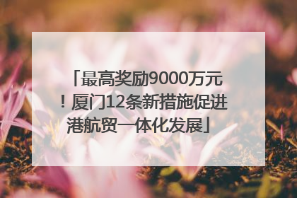 最高奖励9000万元！厦门12条新措施促进港航贸一体化发展