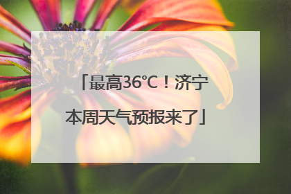 最高36℃！济宁本周天气预报来了