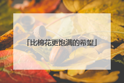 比棉花更饱满的希望