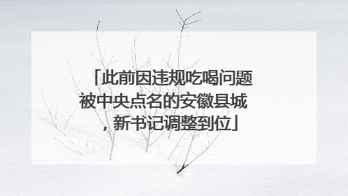 此前因违规吃喝问题被中央点名的安徽县城，新书记调整到位