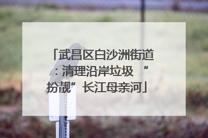 武昌区白沙洲街道：清理沿岸垃圾 “扮靓”长江母亲河