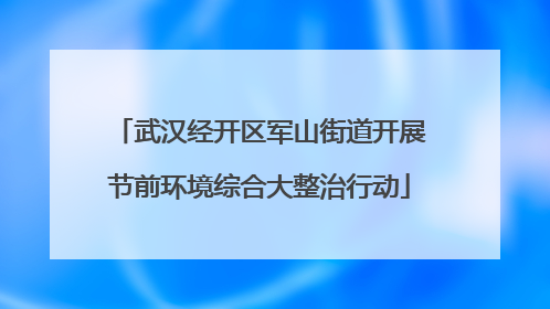 武汉经开区军山街道开展节前环境综合大整治行动