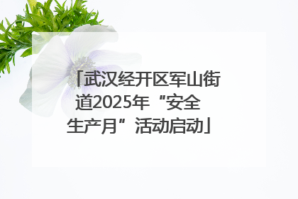 武汉经开区军山街道2025年“安全生产月”活动启动