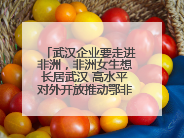 武汉企业要走进非洲，非洲女生想长居武汉 高水平对外开放推动鄂非双向奔赴