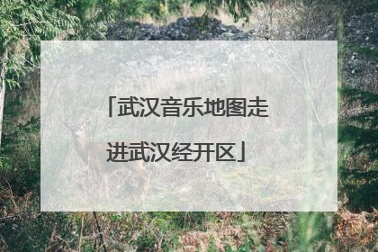 武汉音乐地图走进武汉经开区