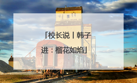 校长说丨韩子进：榴花如焰
