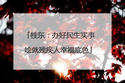 桂东：办好民生实事 绘就残疾人幸福底色
