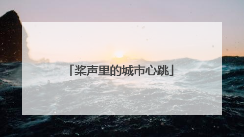 桨声里的城市心跳