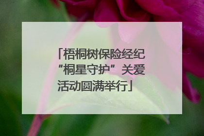 梧桐树保险经纪“桐星守护”关爱活动圆满举行