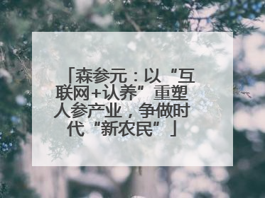 森参元：以“互联网+认养”重塑人参产业，争做时代“新农民”