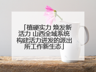 植硬实力 焕发新活力 山西全域系统构建活力迸发的派出所工作新生态