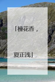 楝花香，夏正浅