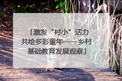 激发“村小”活力 共绘多彩童年——乡村基础教育发展观察