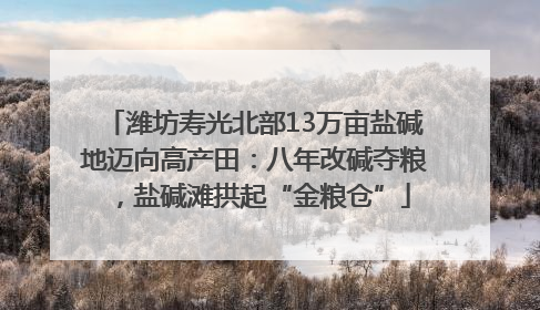 潍坊寿光北部13万亩盐碱地迈向高产田：八年改碱夺粮，盐碱滩拱起“金粮仓”