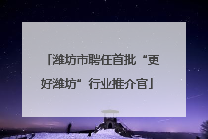 潍坊市聘任首批“更好潍坊”行业推介官