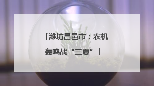 潍坊昌邑市：农机轰鸣战“三夏”