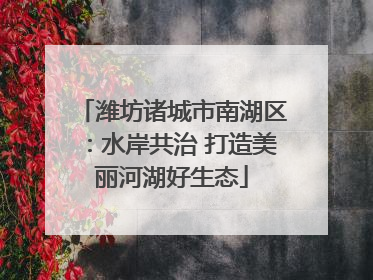 潍坊诸城市南湖区：水岸共治 打造美丽河湖好生态