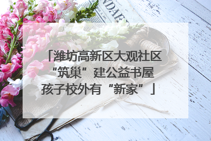 潍坊高新区大观社区“筑巢”建公益书屋 孩子校外有“新家”