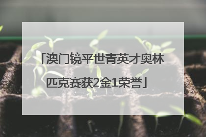 澳门镜平世青英才奥林匹克赛获2金1荣誉