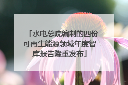 水电总院编制的四份可再生能源领域年度智库报告隆重发布