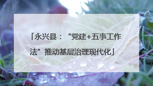 永兴县：“党建+五事工作法”推动基层治理现代化