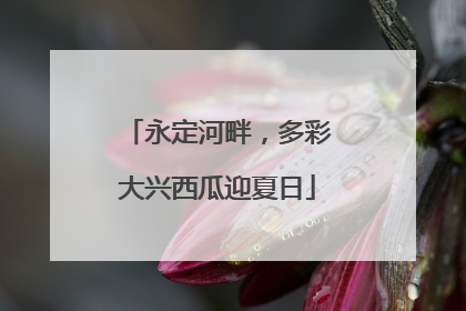 永定河畔，多彩大兴西瓜迎夏日