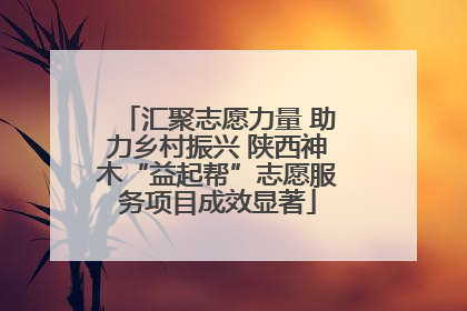 汇聚志愿力量 助力乡村振兴 陕西神木“益起帮”志愿服务项目成效显著