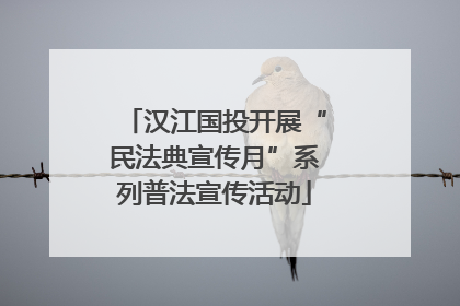 汉江国投开展“民法典宣传月”系列普法宣传活动