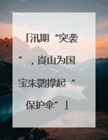 汛期“突袭”，崀山为国宝朱鹮撑起“保护伞”