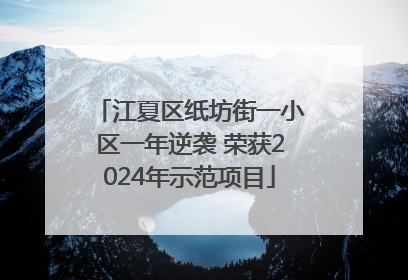 江夏区纸坊街一小区一年逆袭 荣获2024年示范项目