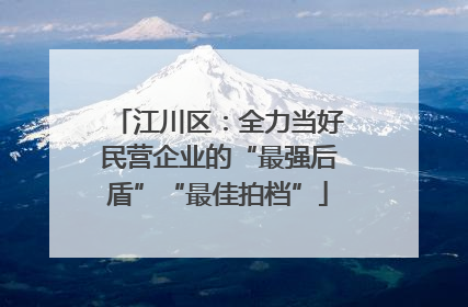 江川区：全力当好民营企业的“最强后盾”“最佳拍档”