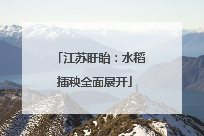 江苏盱眙：水稻插秧全面展开
