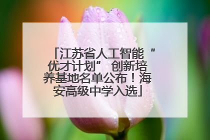 江苏省人工智能“优才计划” 创新培养基地名单公布！海安高级中学入选
