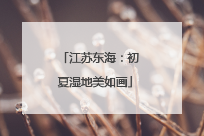 江苏东海：初夏湿地美如画