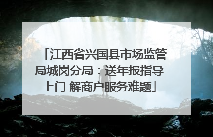 江西省兴国县市场监管局城岗分局：送年报指导上门 解商户服务难题