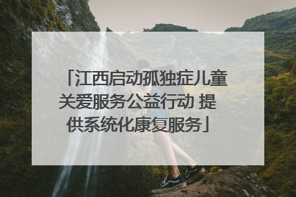 江西启动孤独症儿童关爱服务公益行动 提供系统化康复服务