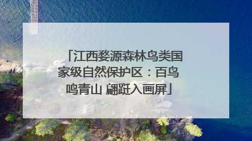江西婺源森林鸟类国家级自然保护区：百鸟鸣青山 翩跹入画屏