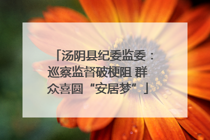汤阴县纪委监委：巡察监督破梗阻 群众喜圆“安居梦”