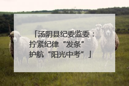 汤阴县纪委监委：拧紧纪律“发条” 护航“阳光中考”