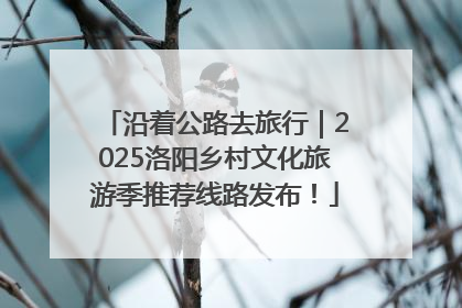 沿着公路去旅行｜2025洛阳乡村文化旅游季推荐线路发布！