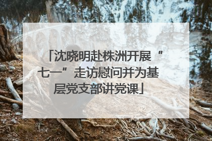 沈晓明赴株洲开展“七一”走访慰问并为基层党支部讲党课