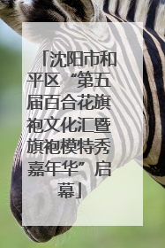 沈阳市和平区“第五届百合花旗袍文化汇暨旗袍模特秀嘉年华”启幕