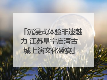 沉浸式体验非遗魅力 江苏阜宁庙湾古城上演文化盛宴