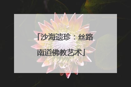 沙海遗珍：丝路南道佛教艺术