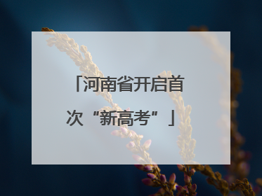 河南省开启首次“新高考”
