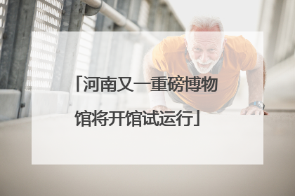 河南又一重磅博物馆将开馆试运行