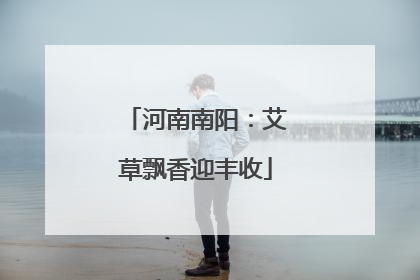 河南南阳：艾草飘香迎丰收