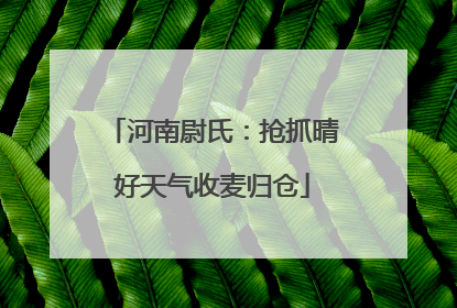 河南尉氏：抢抓晴好天气收麦归仓
