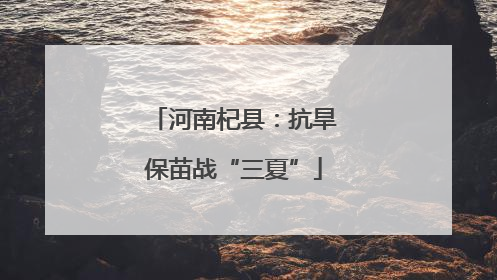 河南杞县：抗旱保苗战“三夏”